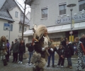 Laupheim (42)