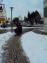 DSC03397